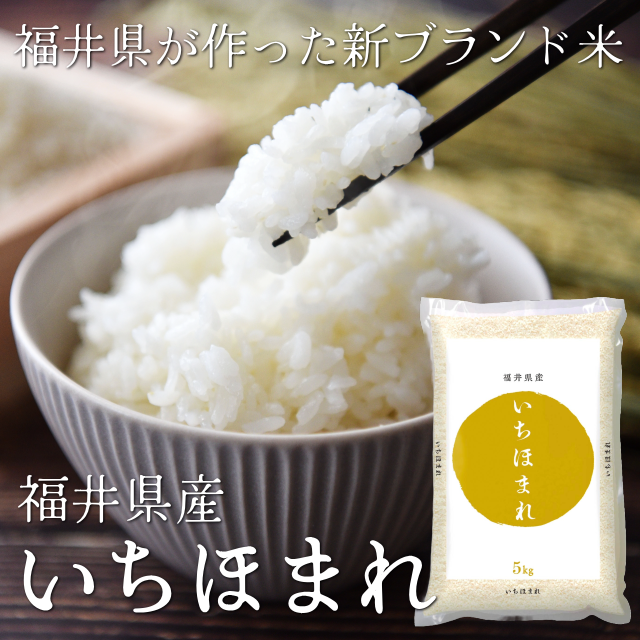 新米予約【令和7年度産】福井県産いちほまれ5kg