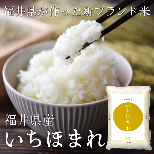 新米予約【令和7年度産】福井県産いちほまれ2kg