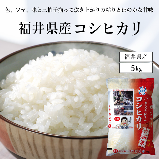 新米予約【令和7年度産】福井県産コシヒカリ5kg