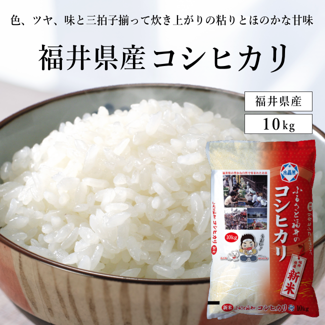 新米予約【令和7年度産】福井県産コシヒカリ10kg