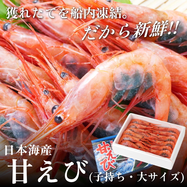 【日本海産】子持ち甘エビ500ｇ(大・30尾前後)