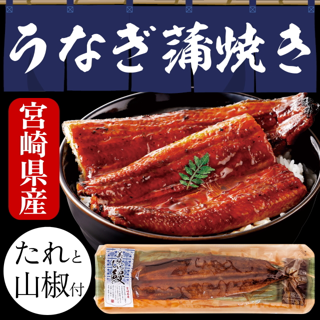 【薩摩川内鰻】うなぎ蒲焼(宮崎県産)1尾(真空パック約140g前後)